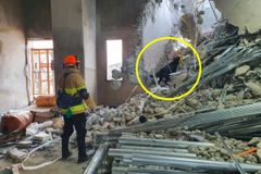 베테랑 구조견 소백이 짖은 곳에…매몰자 있었다