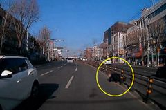 “사람? 동물?” 중앙분리대서 기어나온 건…[영상]