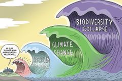 “창조세계 돌봄은 그리스도인의 마땅한 소명”