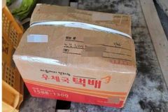 “땅 소송 졌다고”…상대 선친 유골 화장해 택배 보냈다