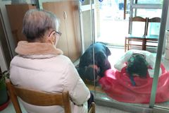 “유리 문 안쪽의 어머니···손 한 번 잡을 수 없어”