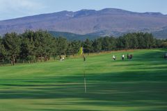 제주 골프장 ‘코로나 특수’ 톡톡히 봤다