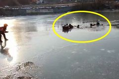 “손녀들 썰매 태워주다”… 살얼음 연못에 일가족 ‘아찔’