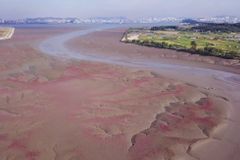 인천녹색연합 영종도갯벌 세계자연유산 등재 추진