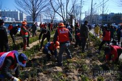 ‘포항을 푸르게 변화시키다’…포항시, 2000만 그루 나무심기
