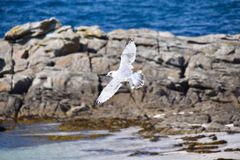 은 반기독교적 작품인가? 청소년들의 ‘응답’