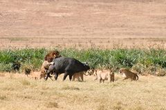 어딜 가도 있는 왕따, 굳이 잘못 안 해도 생겨나야 하는 왕따
