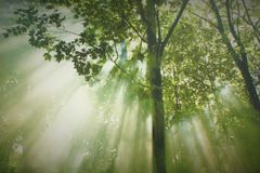 기도, 말하고 부르짖는 것이 아니라 우선 듣는 것