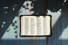 “중국 정부, 변개된 성경 제작 착수… 2029년 완료”