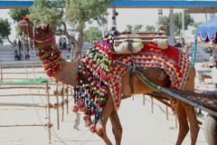 인도의 축제와 시장의 관계