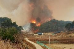 원전까지 위협한 울진 산불... 강원도까지 번져