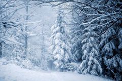 하나 되는 곳에, 하나님께서 영원히 복을 주십니다