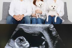 진태현-박시은 부부, “하나님 선물” 둘째 사진 공개