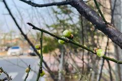 [신앙 에세이: 삶과 사랑] 봄