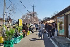 한남대 건축학과, 도시공간 변화 실험 프로젝트 ‘소제동 비타민 파크’ 진행