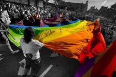 뉴질랜드 의회, 동성애 전환치료 중단법 발의