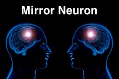 [뇌치유상담] 거울뉴런, 공명과 모방 시 발화한다