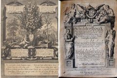 종교개혁의 문화적 열매, 정물화와 풍경화