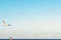 [신앙 에세이: 삶과 사랑] 어른의 몫