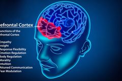 [뇌치유상담] 충동적인 뇌, 전전두피질의 기능 이상이다