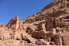 법궤, 왜 백향목 대신 아카시아로 만들라고 하셨을까?