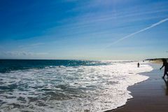 [신앙 에세이: 삶과 사랑] 감사