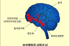 [뇌치유상담] 보상예측의 뇌, 무기력을 유발한다