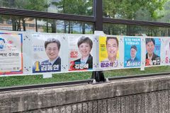 엄청난 양의 지방선거 공보물… 나무 21만 그루 잘려나가