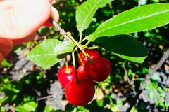 [신앙 에세이: 삶과 사랑] 경험치