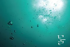 미디어아트로 경험하는 ‘물멍’