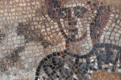 이스라엘서 1600년 된 ‘성경 속 인물’ 모자이크 발견