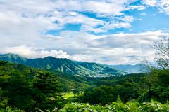 [신앙 에세이: 삶과 사랑] 참멋