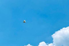 [신앙 에세이: 삶과 사랑] 그리움