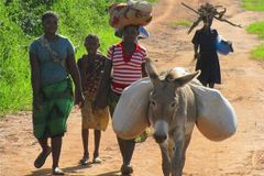 ‘기독교인 다수’ 모잠비크 북부서 이재민 78만 이상 발생