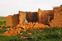 ‘40명 사망’ 나이지리아 오순절 예배 총격 용의자 체포돼