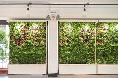 한국 코카콜라, ‘아이들이 행복한 실내 숲’ 1·2호점 완공