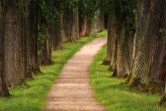 [구원론] 하나님이 부르시다(1)