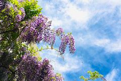 [신앙 에세이: 삶과 사랑] 어쩐지