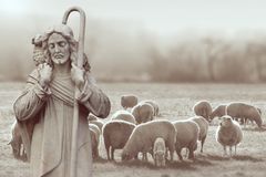 한 마리 잃은 양 비유와, 국회의원 한 사람만을 지키려는 정당