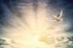 용서와 이신칭의의 문제