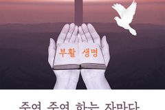 [신간] 주여 주여 하는 자마다