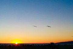 [신앙 에세이: 삶과 사랑] 참 진