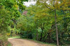 [김진홍의 아침묵상] 김현승 시인의 가을의 기도