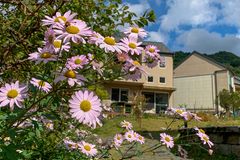 [김진홍의 아침묵상] 북한의 핵에 기죽지 맙시다