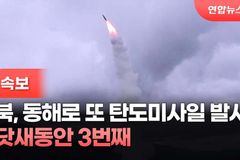 “정부, 북한 도발 야욕 철저히 대비해 분쇄해야”