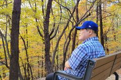 소강석 목사 “단풍잎에게 길을 묻다”