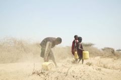 동아프리카, 기후 위기로 3,100만 명 굶주림 시달려