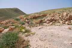 UAE에서 1400년 된 수도원 발견… 이슬람 확산 전 기독교 역사 담겨