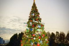 “성탄트리 점등식…아기 예수 탄생, 온 세상에 빛으로 전파”