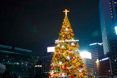 2022년 서울시청 광장 성탄 트리 점등